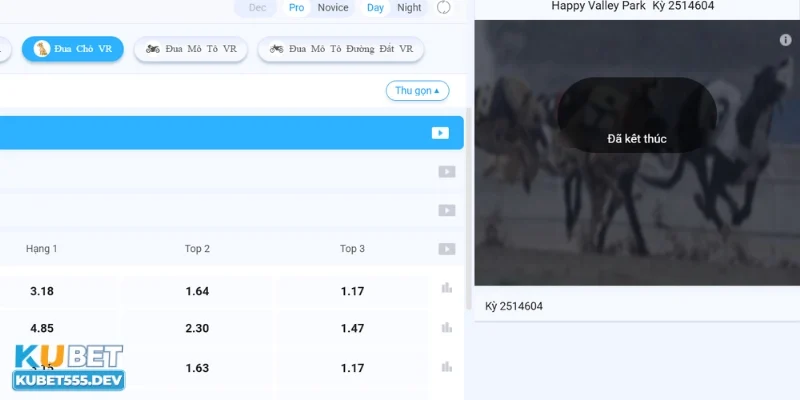Các kèo cá cược đua chó Kubet