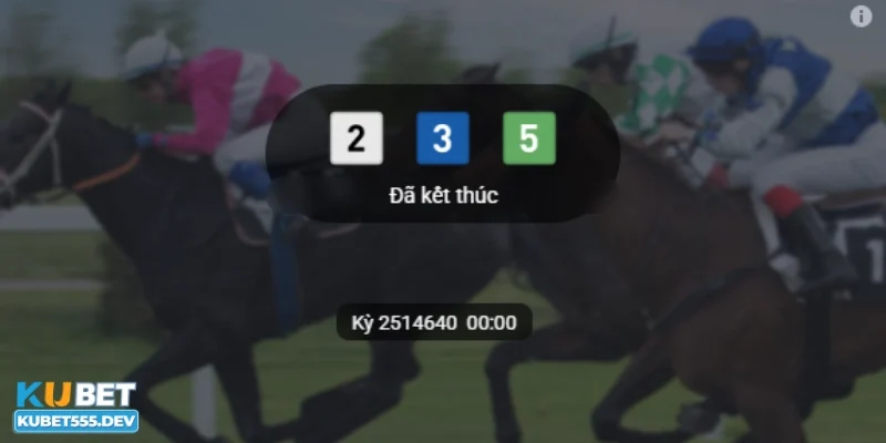 các kèo cá cược đua ngựa Kubet