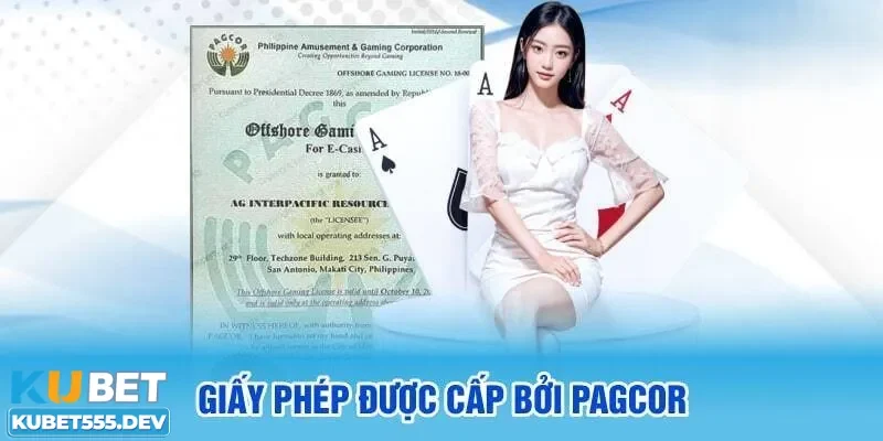 Giấy phép Kubet 3 Các loại giấy phép Kubet hiện đang sở hữu