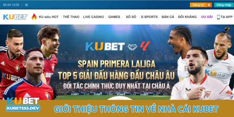 Kubet 31 Giới thiệu thông tin về nhà cái Kubet