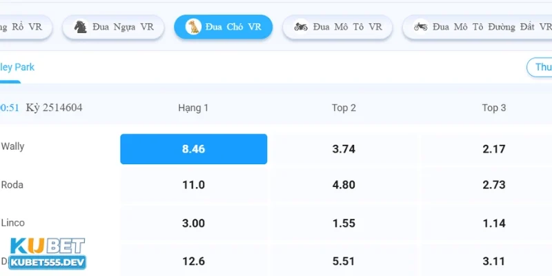 Lý do các kèo cá cược đua chó Kubet thu hút người chơi