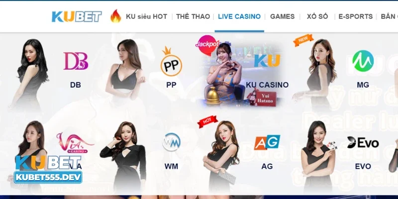 Trò chơi casino trực tuyến trải nghiệm hồi hộp
